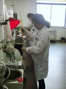 探秘松江 年銷超50億的“隱形冠軍”食品工廠背后的科技密碼